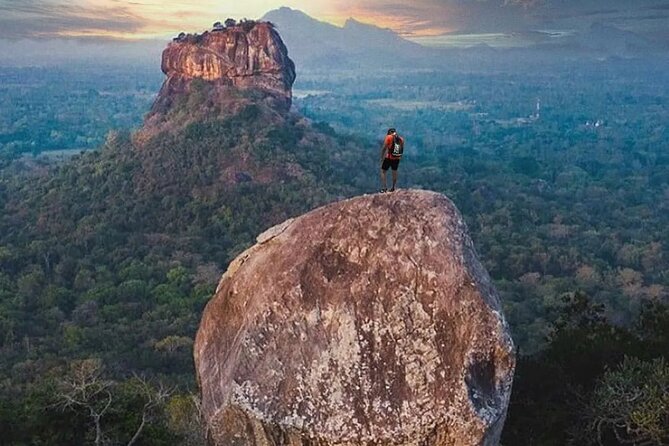 From Colombo to Sigiriya Lion Rock & Minneriya Half Day Safari - Visitor Reviews and Ratings