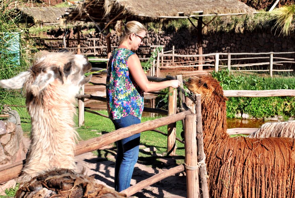 From Cusco: Private Pisac Ruins and Alpaca Farm Day Trip - Frequently Asked Questions