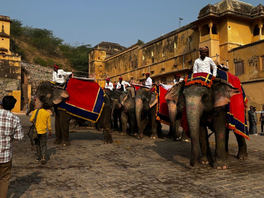 From Delhi :- Golden Triangle Tour With Varanasi 7n/8d - Inclusions and Services