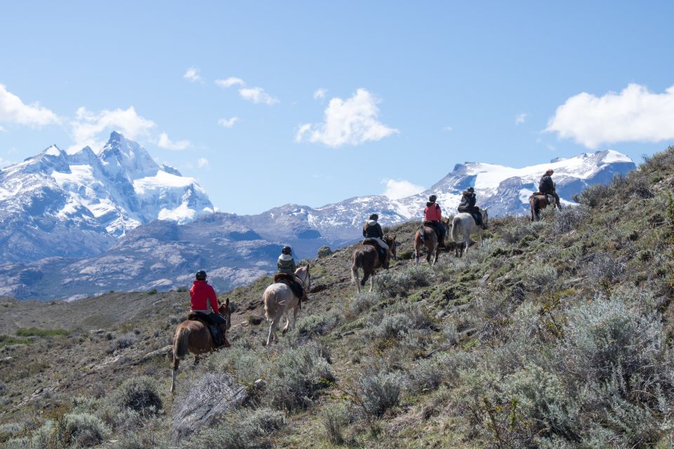 From El Calafate: Estancia Horseback Riding and Boat Tour - Wildlife and Scenery