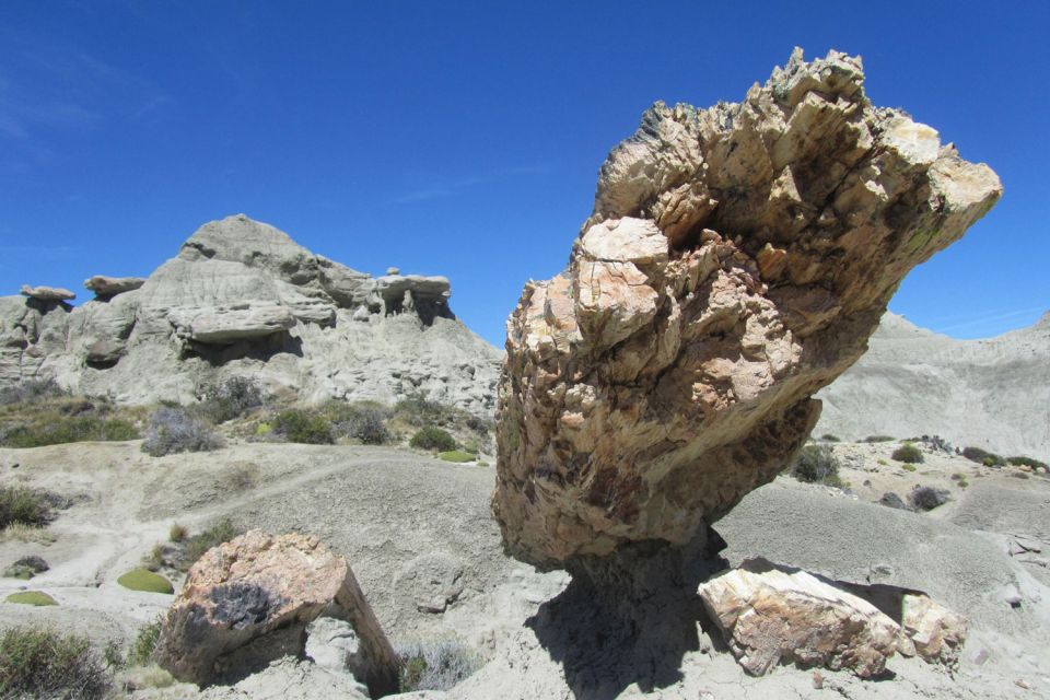 From El Calafate: La Leona Petrified Forest Day Trip - Guidance and Support