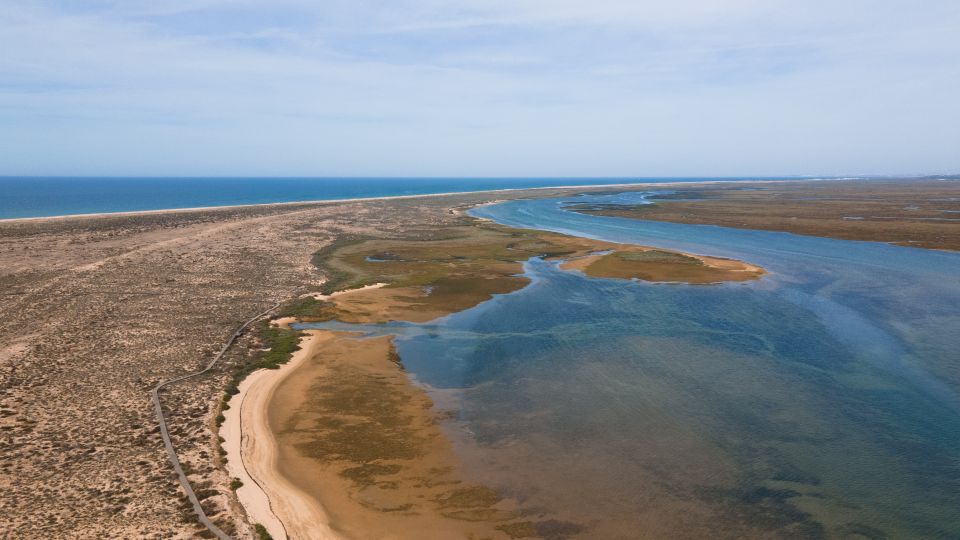 From Faro: Ria Formosa Eco Tour Guided by Marine Biologist - Customer Feedback