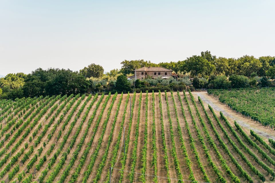 From Florence: Small Group Wine Tasting Tour to Tuscany - Starting Locations