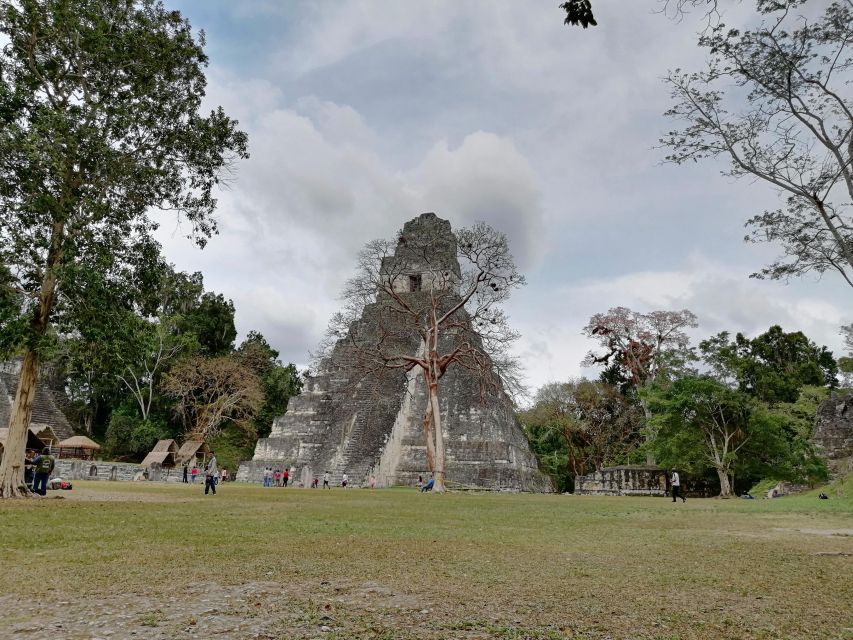 From Flores: Tikal Private Tour for Groups - Transportation Options