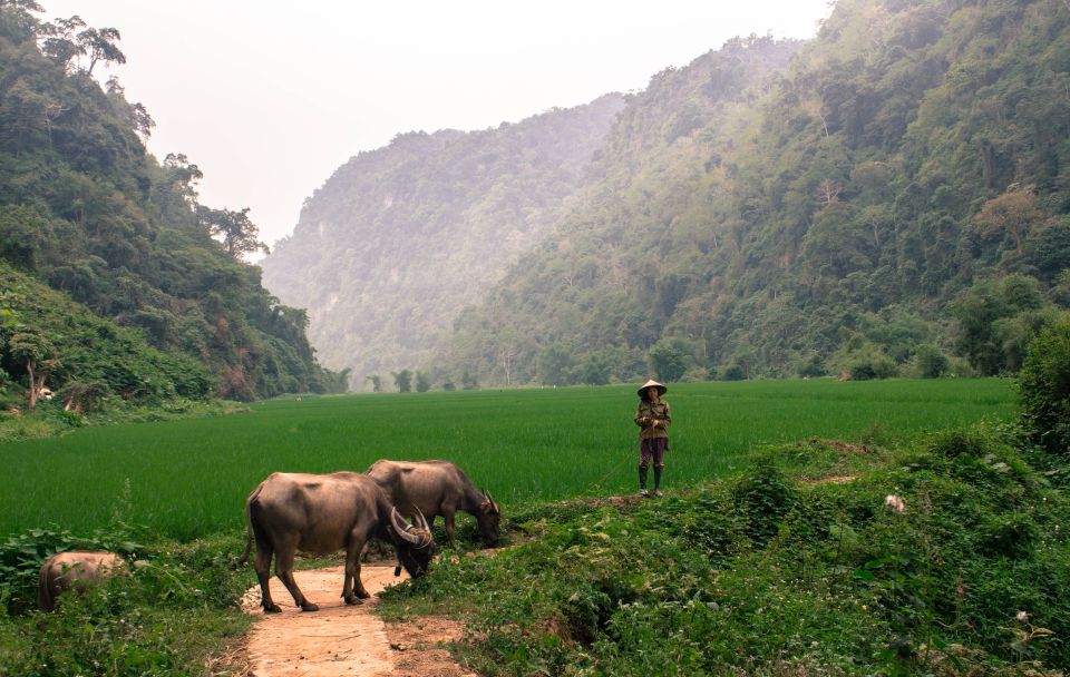 From Hanoi: 3-Day Ba Be Lake & Ban Gioc Falls Private Tour - Inclusions and Amenities