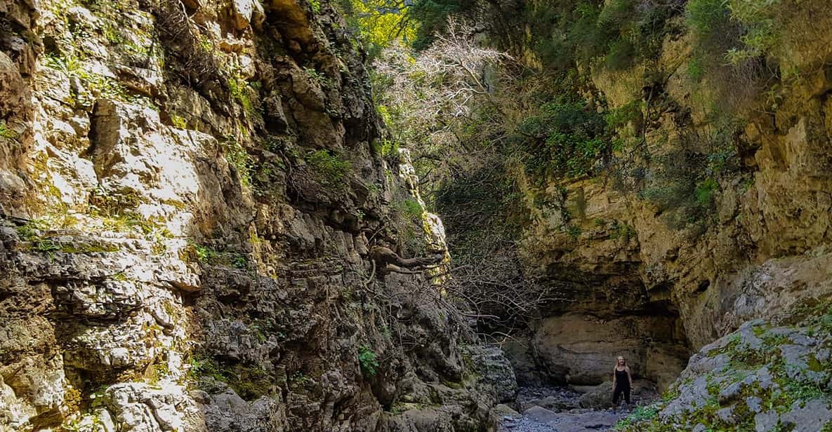 From Heraklion: Imbros Gorge Hike and Sfakia Private Tour - Explore Imbros Gorge