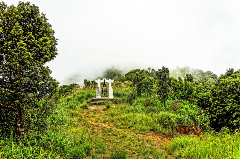 From Hoi An: Full-Day Trip With National Park Hike and Beach - Inclusions and Exclusions