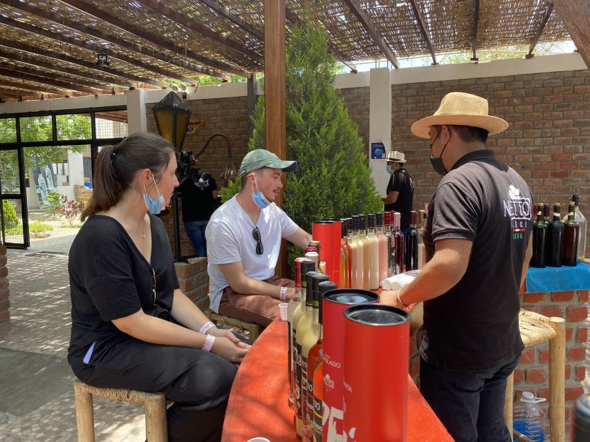 From Ica or Huacachina: Wine and Pisco Vineyards Tour - What to Bring