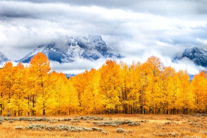 From Jackson: Full-Day Grand Teton Wildlife and Scenery Tour With Lunch - What to Expect on the Tour