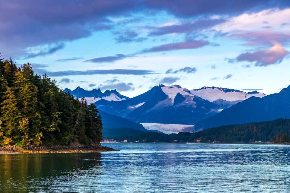 From Juneau: Whale Watching Cruise With Snacks - Guided Transfers