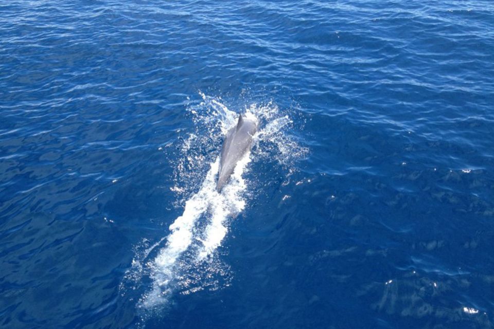 From Kassandra: 2-Day Sailing Cruise in Chalkidiki - Cancellation Policy