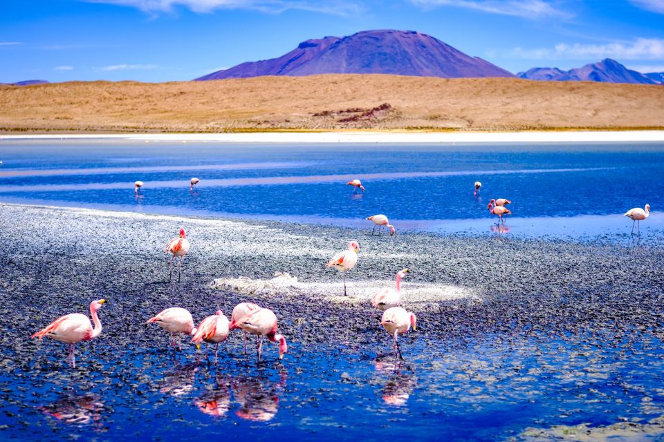 From La Paz: 4-Day Trip to San Pedro De Atacama W/Salt Flats - Exclusions to Consider