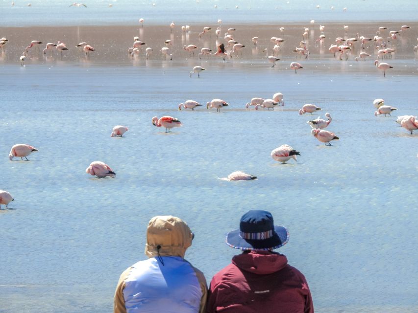From La Paz: 5-Day Uyuni and Red Lagoon Tour With Bus Ride - Day 4: Geothermal Wonders