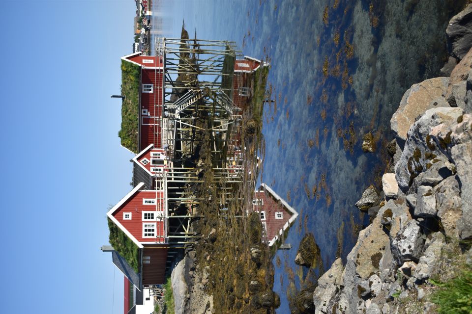 From Leknes: Private Lofoten Islands Tour With Transfer - Customer Feedback