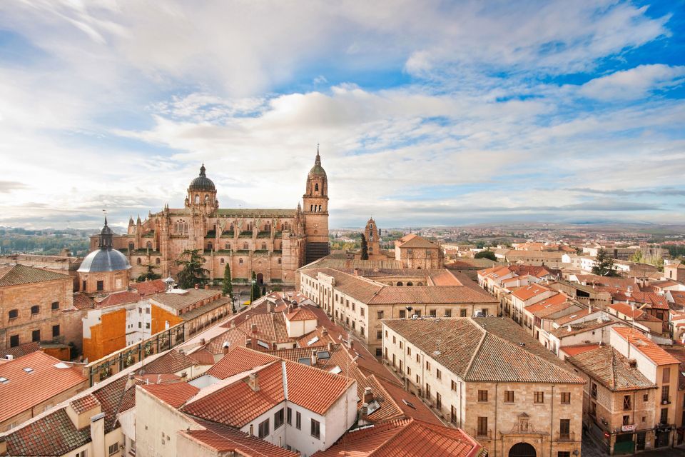 From Madrid: Day Trip to Ávila and Salamanca With Guided Tour - Customer Feedback and Ratings