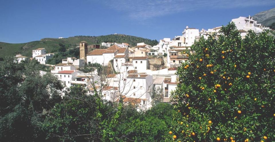 From Marbella: Axarquia Wine Tour With Wine Pairing Lunch - Frequently Asked Questions