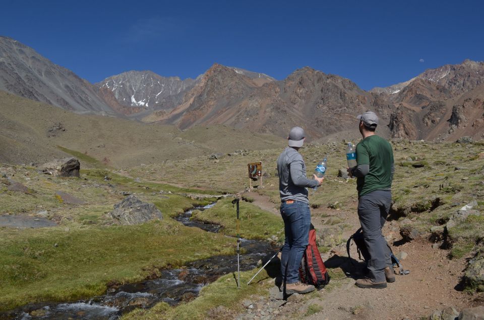 From Mendoza: Full-Day Cordon Del Plata Andes Trek - Wildlife and Scenery