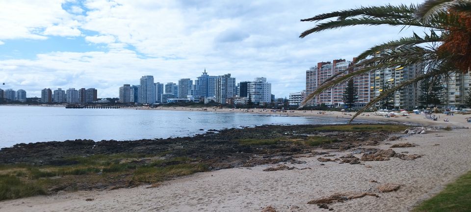 From Montevideo: Punta Del Este Full-Day Private Tour - Booking Your Tour