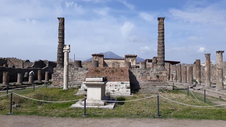 From Naples: Pompeii Private Half Day Tour - Flexible Booking