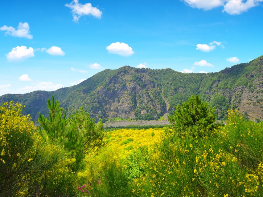 From Naples: Vesuvius Easy Tour - Tips for Tour Enjoyment