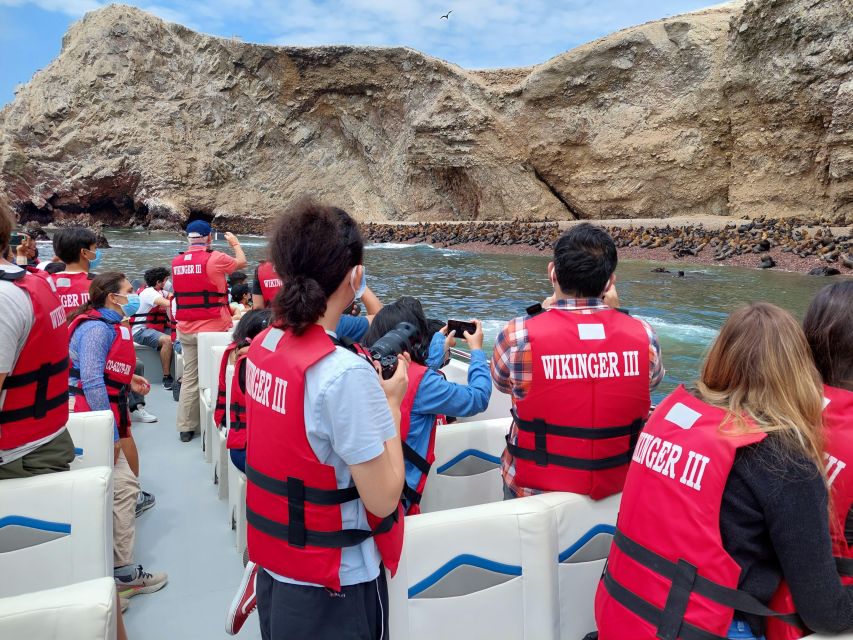 From Paracas: Ballestas Island Marine Wildlife Watching - Important Recommendations