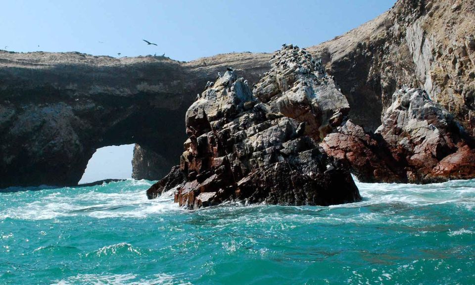 From Paracas || Excursion to the Ballestas Islands ||3 Hours - Booking Information