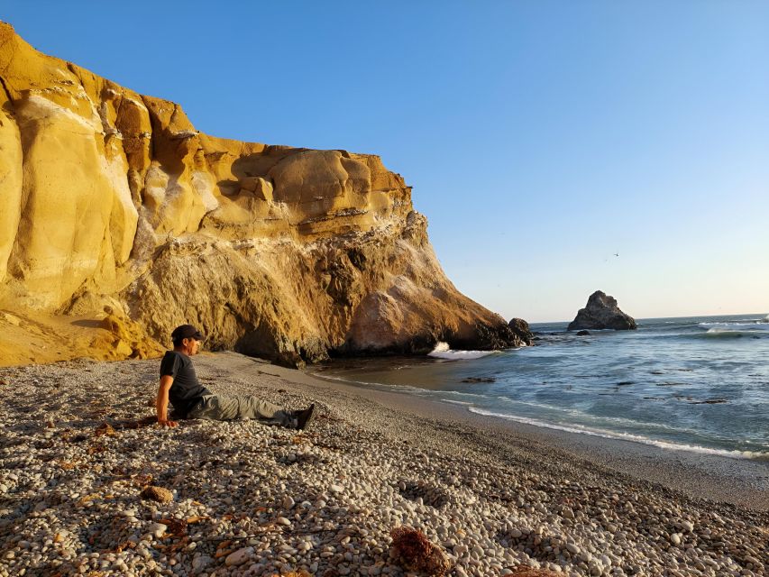 From Paracas: Private Tours Paracas National Reserve - Customer Feedback