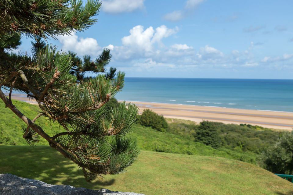 From Paris: Normandy Landing Beaches D-Day Tour by Minibus - Participant Experiences