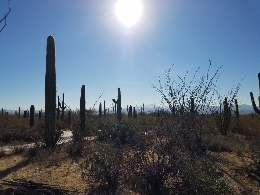 From Phoenix: Tombstone and Bisbee Day Tour - Booking and Waiting Instructions