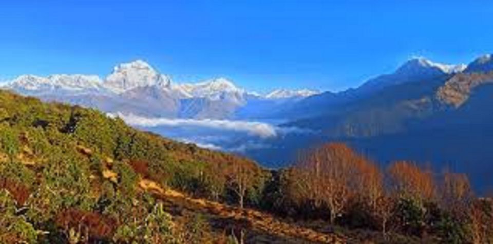 From Pokhara: 3 Night 4 Days Mohare Danda & Poon Hill Trek - Cancellation Policy