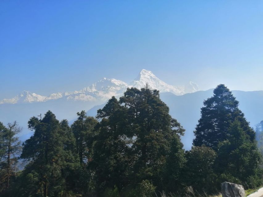 From Pokhara: Budget 2 Night 3 Days Poon Hill Trek - Frequently Asked Questions