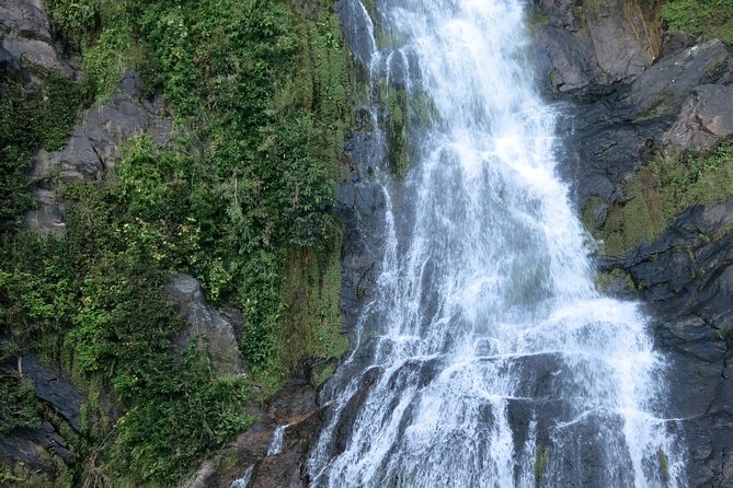 From Port Douglas Tour Including Kuranda, Skyrail & Scenic Train - Pickup Locations and Details
