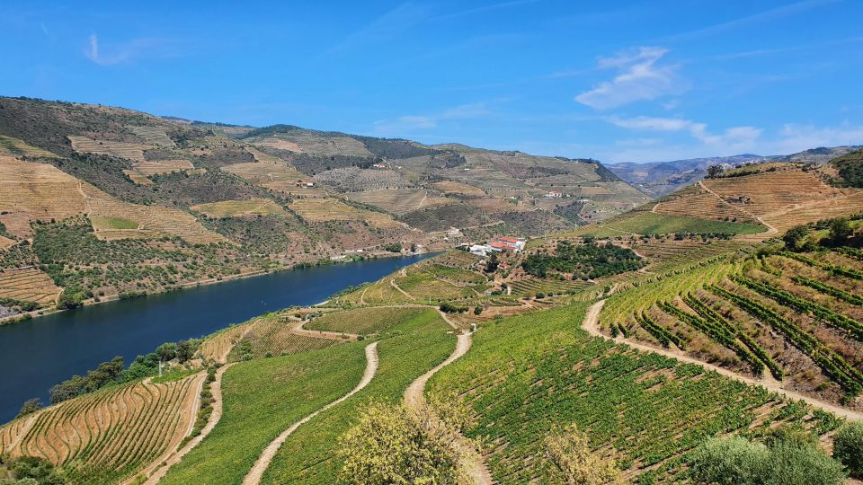 From Porto: Douro Valley Wine Tasting Tour With Hotel Pickup - Sabrosa: Traditional Regional Lunch