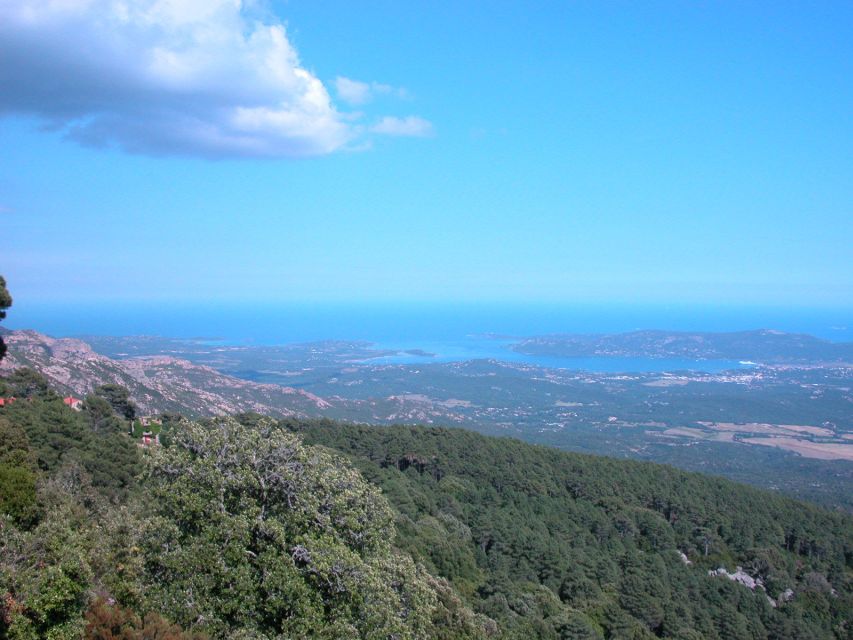 From Porto Vecchio: Corsica Mountain Tour - Scenic Views and Stops