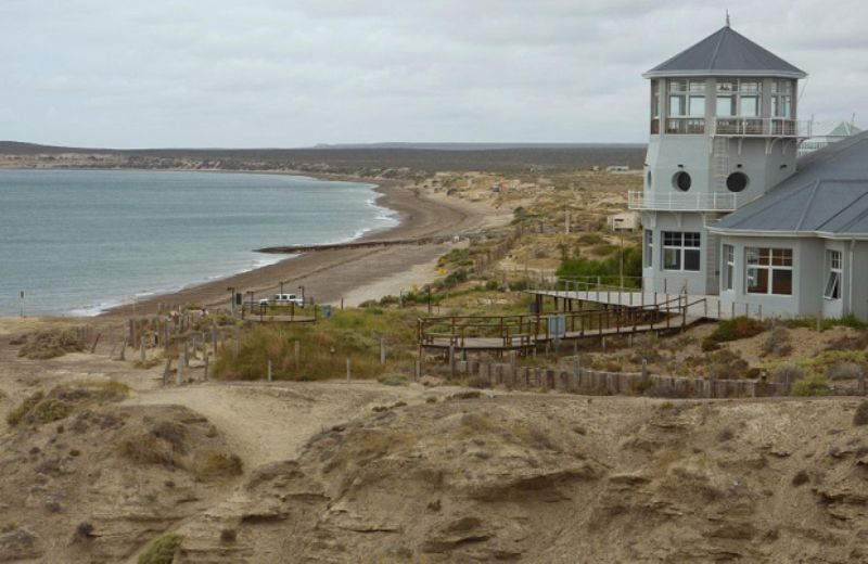 From Puerto Madryn: City and Punta Loma Tour - Meeting Point Details