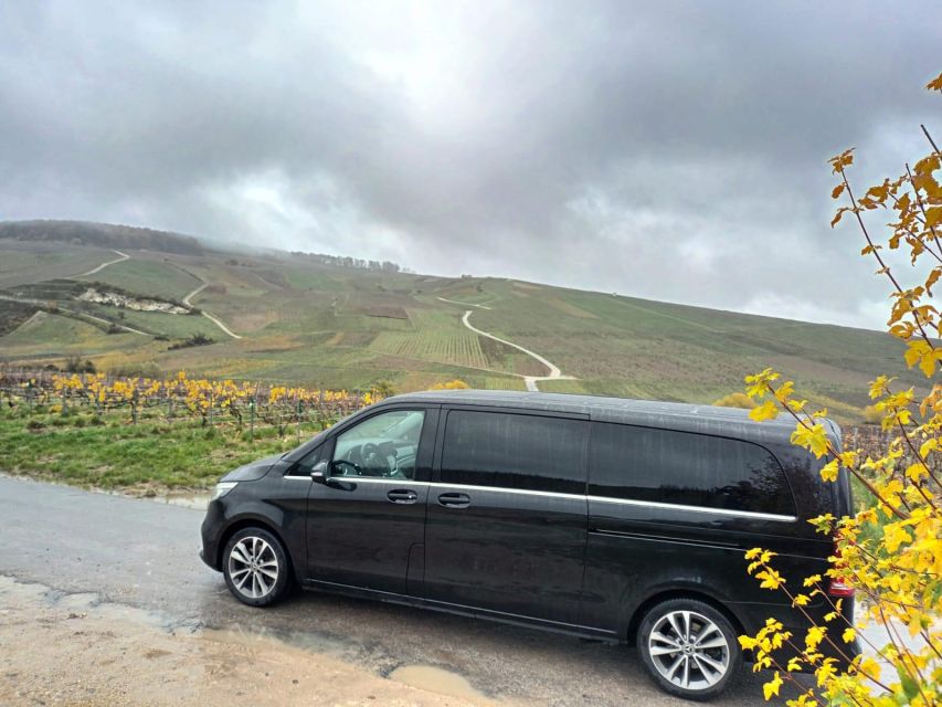 From Reims: Transfer and Drive Through the Champagne Region - Costs to Consider