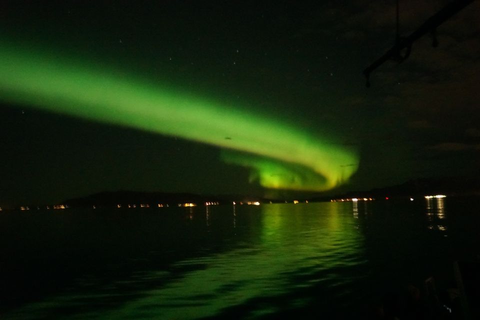 From Reykjavik: Northern Lights Boat Cruise - Customer Ratings and Reviews