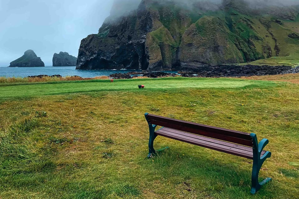 From Reykjavik: Vestmannaeyjar Islands, Puffins &Volcanoes - Wildlife Encounters