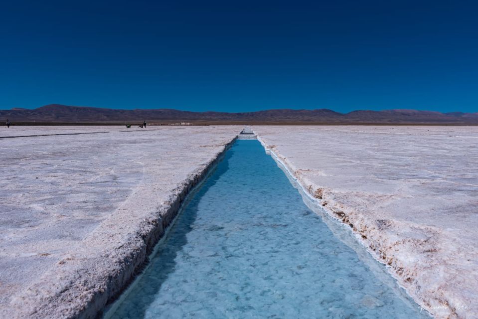 From Salta: Cafayate, Salinas Grandes, & Hornocal Tour - Transportation and Guides