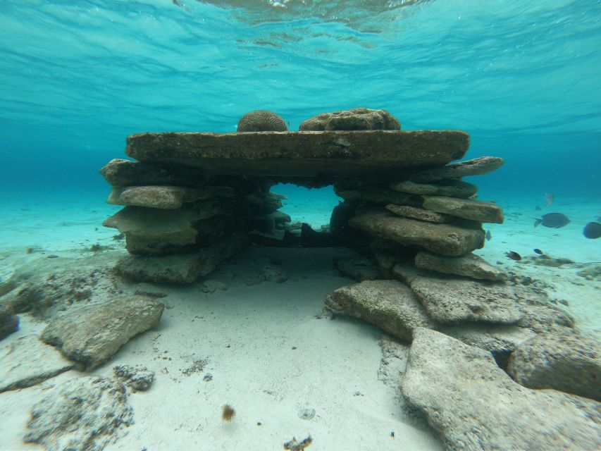 From San Andres: Cayo Acuario Tour - Tips for a Great Experience