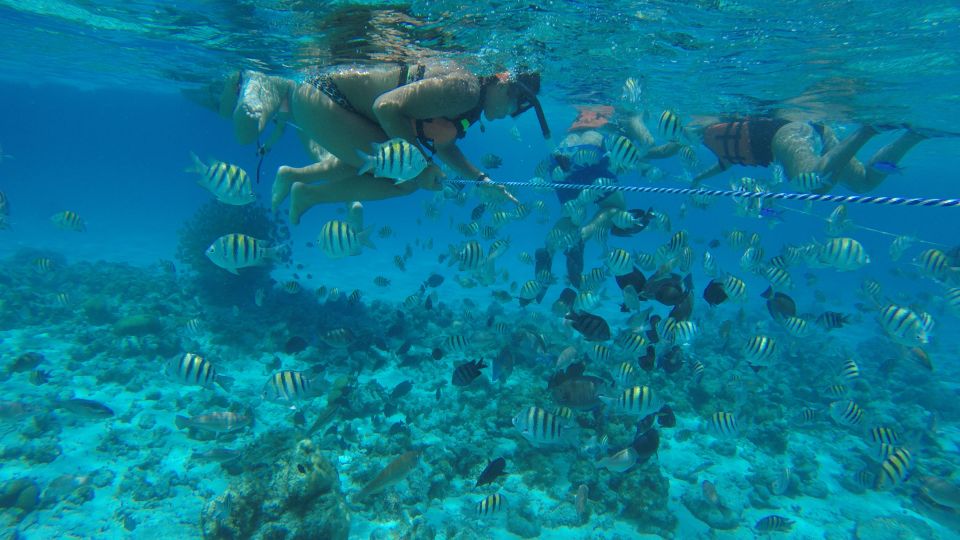 From San Andrés: Full-Day San Andrés Bay Snorkeling Cruise - Customer Reviews