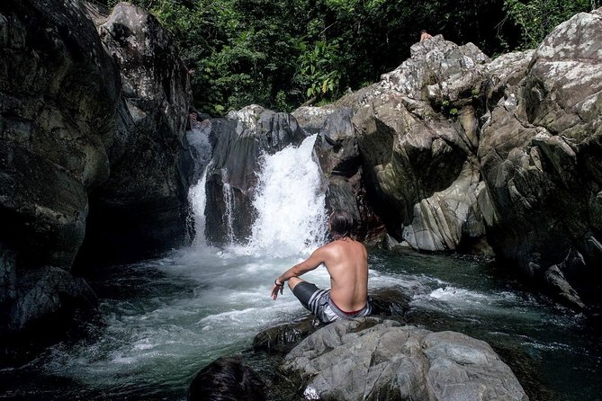 From San Juan: El Yunque Rainforest Hiking Adventure - Hiking and Swimming