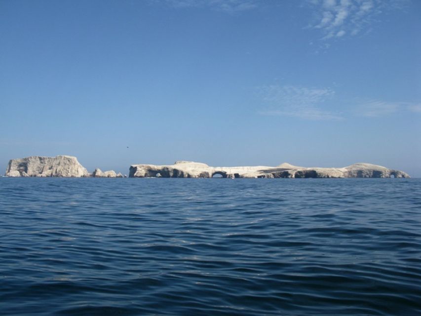 From San Martin Port: Ballestas Islands Tour in Paracas - Important Tour Guidelines