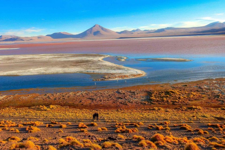 From San Pedro De Atacama: Uyuni Salt Flat 4-Days - Day 4 Return Journey