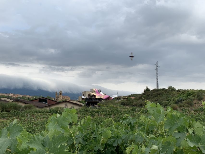 From San Sebastian: Rioja Wine Tour - Traditional Countryside Dining