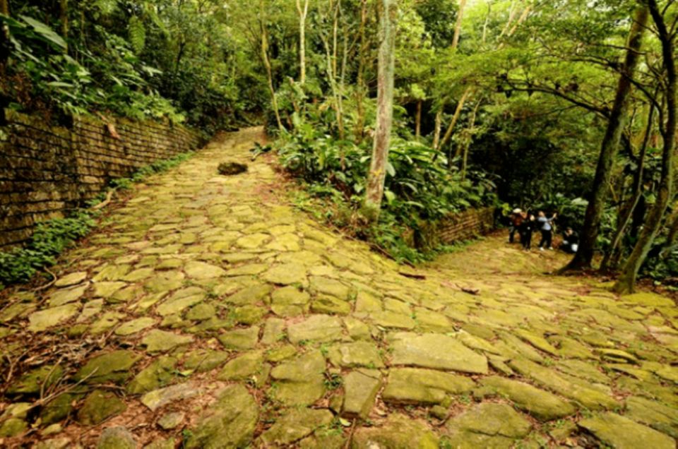 From São Paulo: Private Tour of Atlantic Forest & Valleys - Environmental Significance