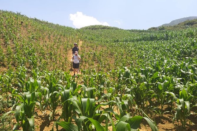 From Sapa: 2 Day Tour Through Villages and Countryside - Traveler Requirements