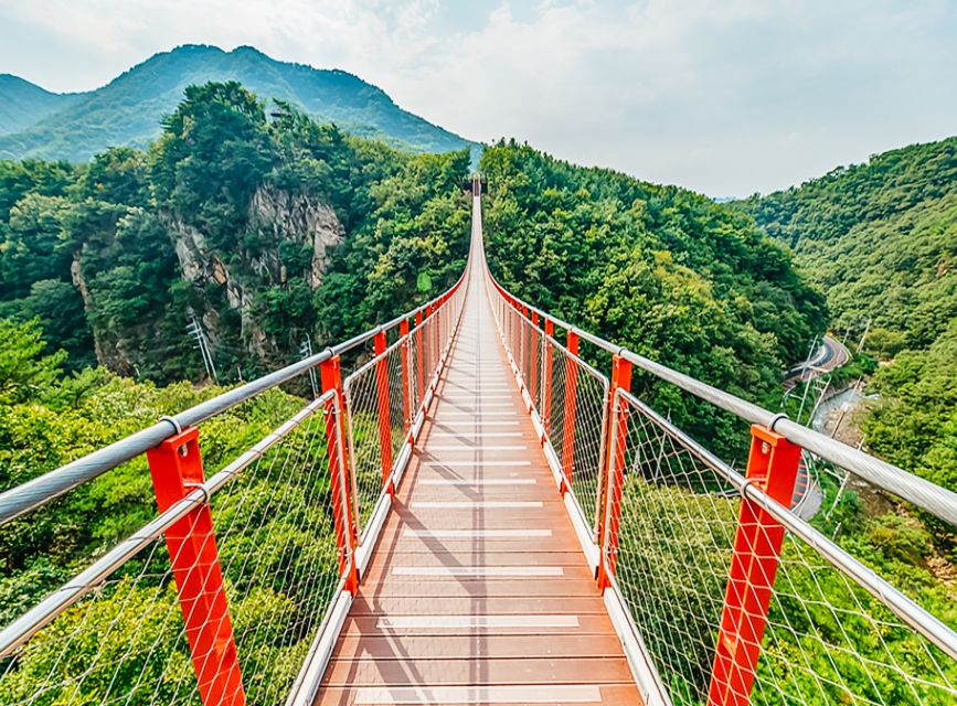 From Seoul: DMZ, 3rd Tunnel & Suspension Bridge Guided Tour - Difficulty Level and Requirements