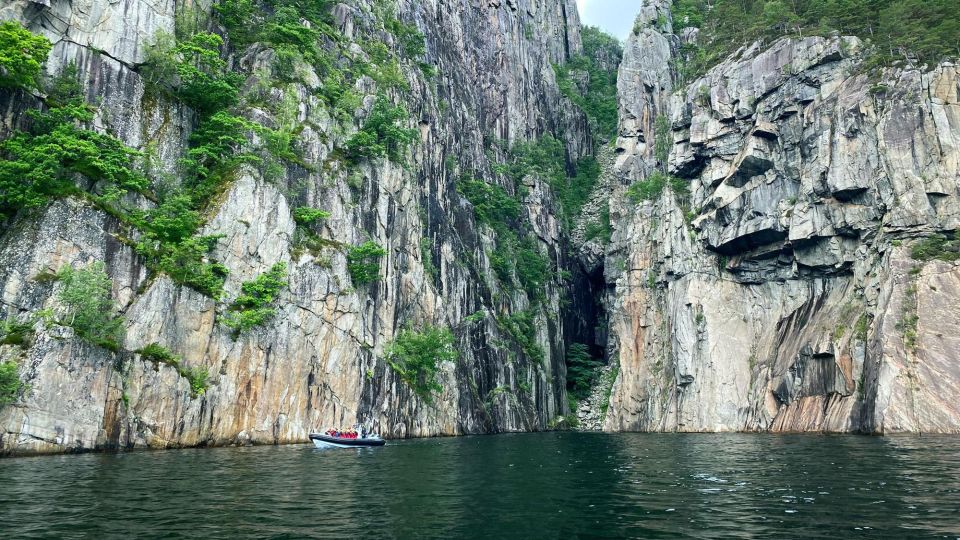 From Stavanger: Lysefjord Sightseeing RIB Boat Tour - Wildlife Viewing Opportunities