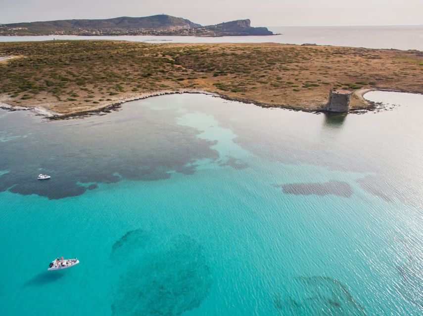 From Stintino: Half-Day Dinghy Tour in Asinara Gulf - What to Bring